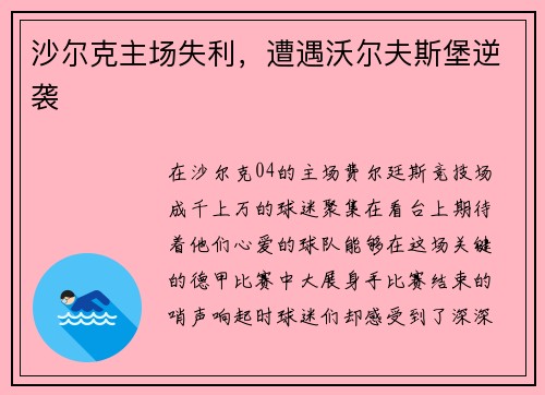 沙尔克主场失利，遭遇沃尔夫斯堡逆袭
